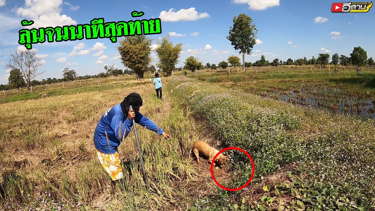 ลุ้นจนนาทีสุดท้าย!!? อย่างมัน หาขุดหนู ล่าหนูกับสามทหารเสือ