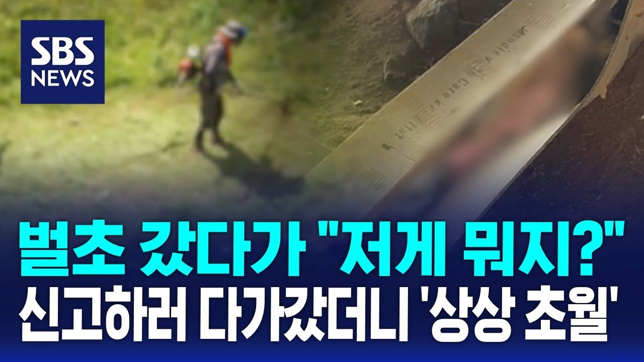 벌초 갔다가 