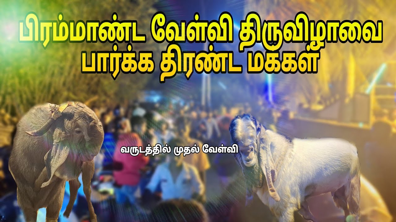 பிரம்மாண்ட வேள்வி திருவிழாவை பார்க்க திரண்ட மக்கள்