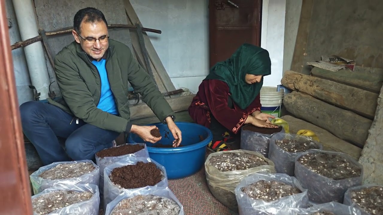 Button Mushroom farming