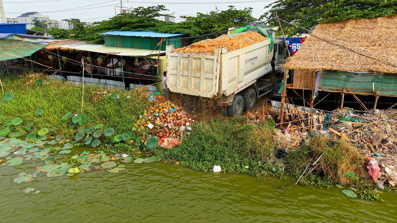 Start new Project, Land filling, Skills​ Driver​ Bulldozer SHANTUI DH17C3, Dump truck unloading