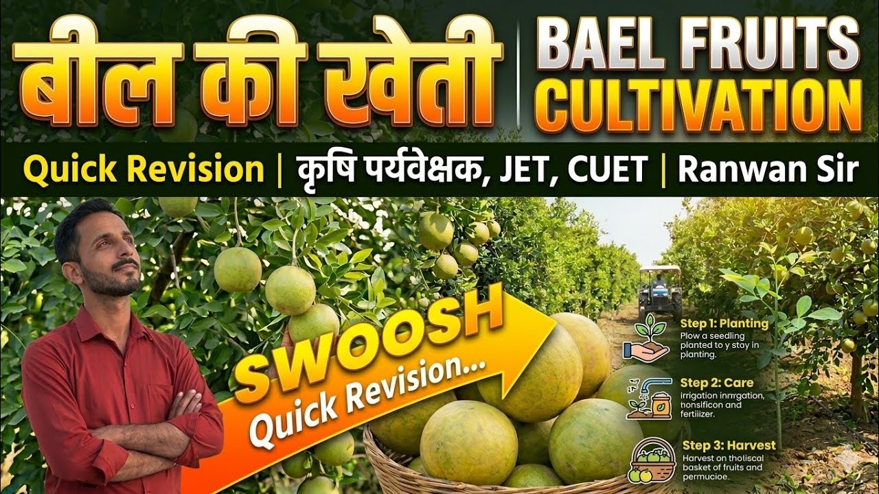 बील/ BAEL || कृषि पर्यवेक्षक || JET || CUET #AGRICULTURE SUPERVISOR 