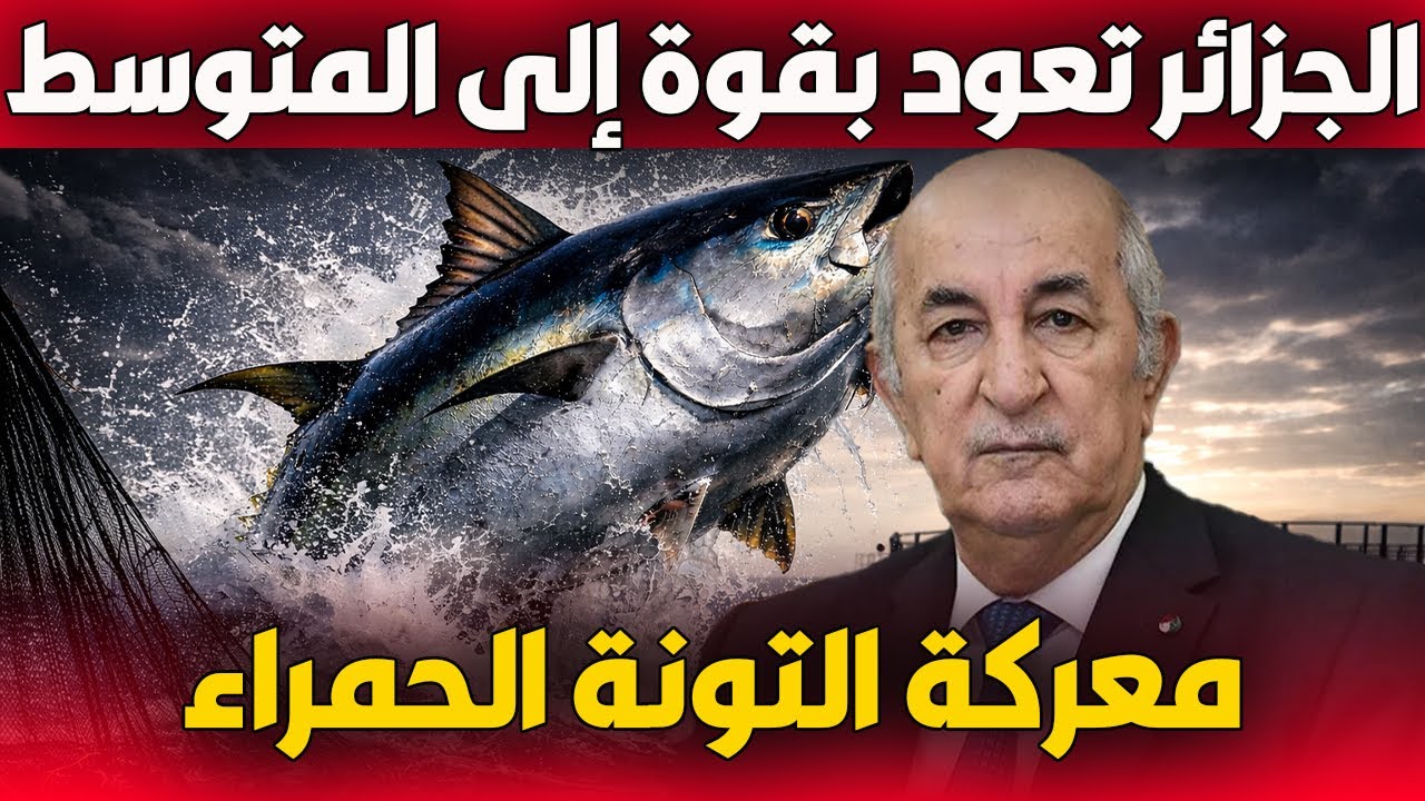 الجزائر تستعيد حصتها وتربح معركة التونة الحمراء دوليًا