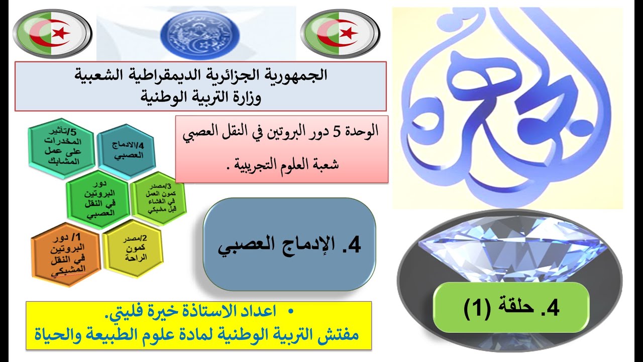 الحلقة 01 من الادماج العصبي