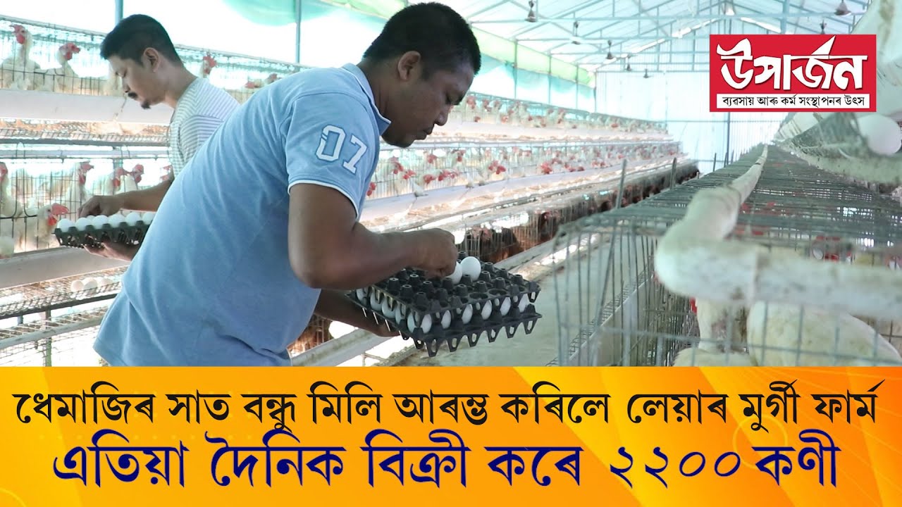 দৈনিক ২২শ কণী উৎপাদন হয় ধেমাজিৰ গোহাই গাঁৱৰ “ডকচেফ ”ফাৰ্মত  | Layer chicken Farm In Assam