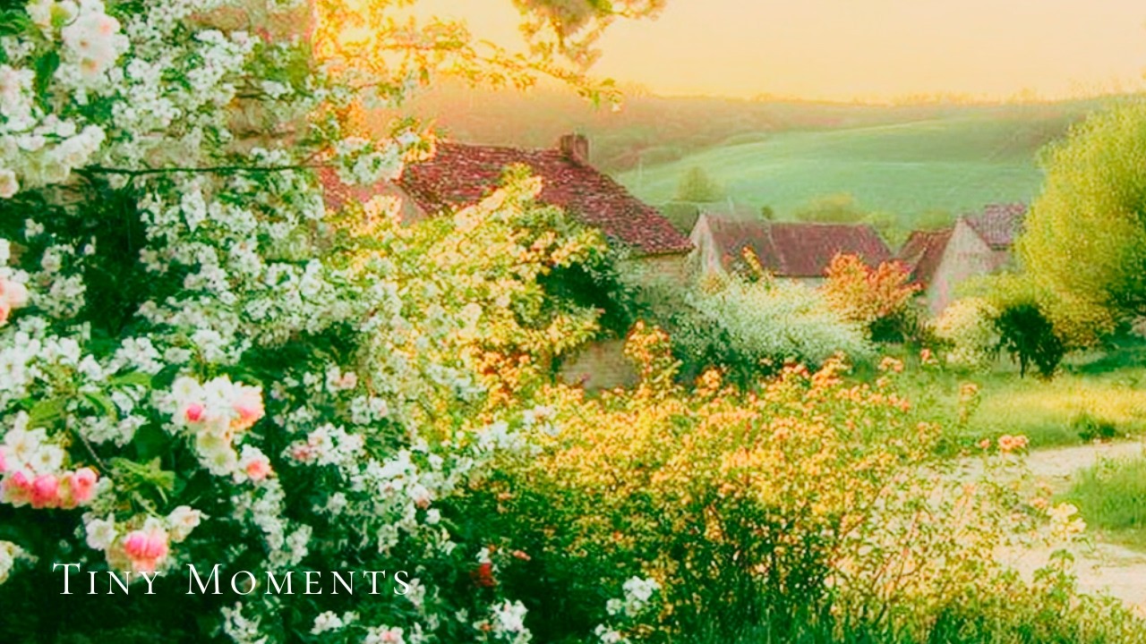 soft piano playlist | spring in bloom