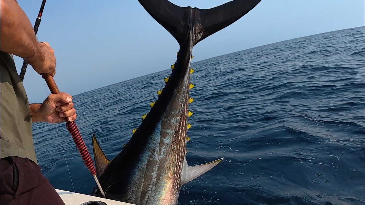 Epic Day Offshore Adventure – Lessons from Battling Big Bluefin Tunas