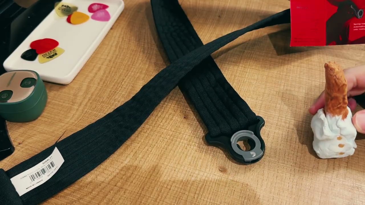 超便利ストラップ【DADDARIO(ダダリオ) AUTO LOCK】