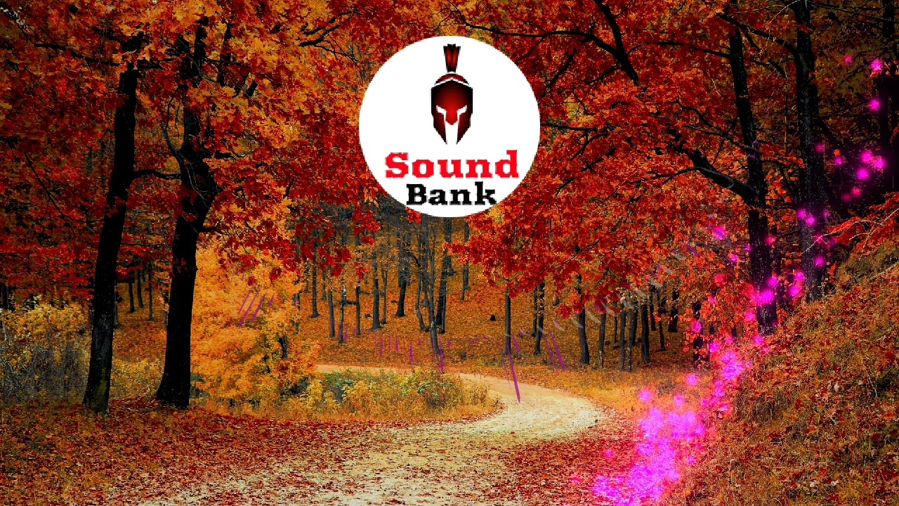 Royalty Free Cinematic Country Background Music | Slow Steel Guitar