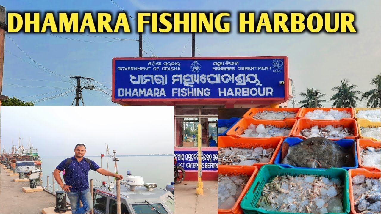 Dhamara Fishing Harbour || Dhamara Port || Dhamara || Bhadrakh