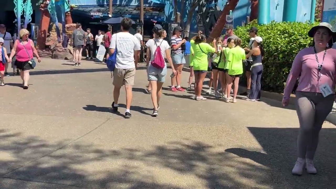 SeaWorld some Highlights 