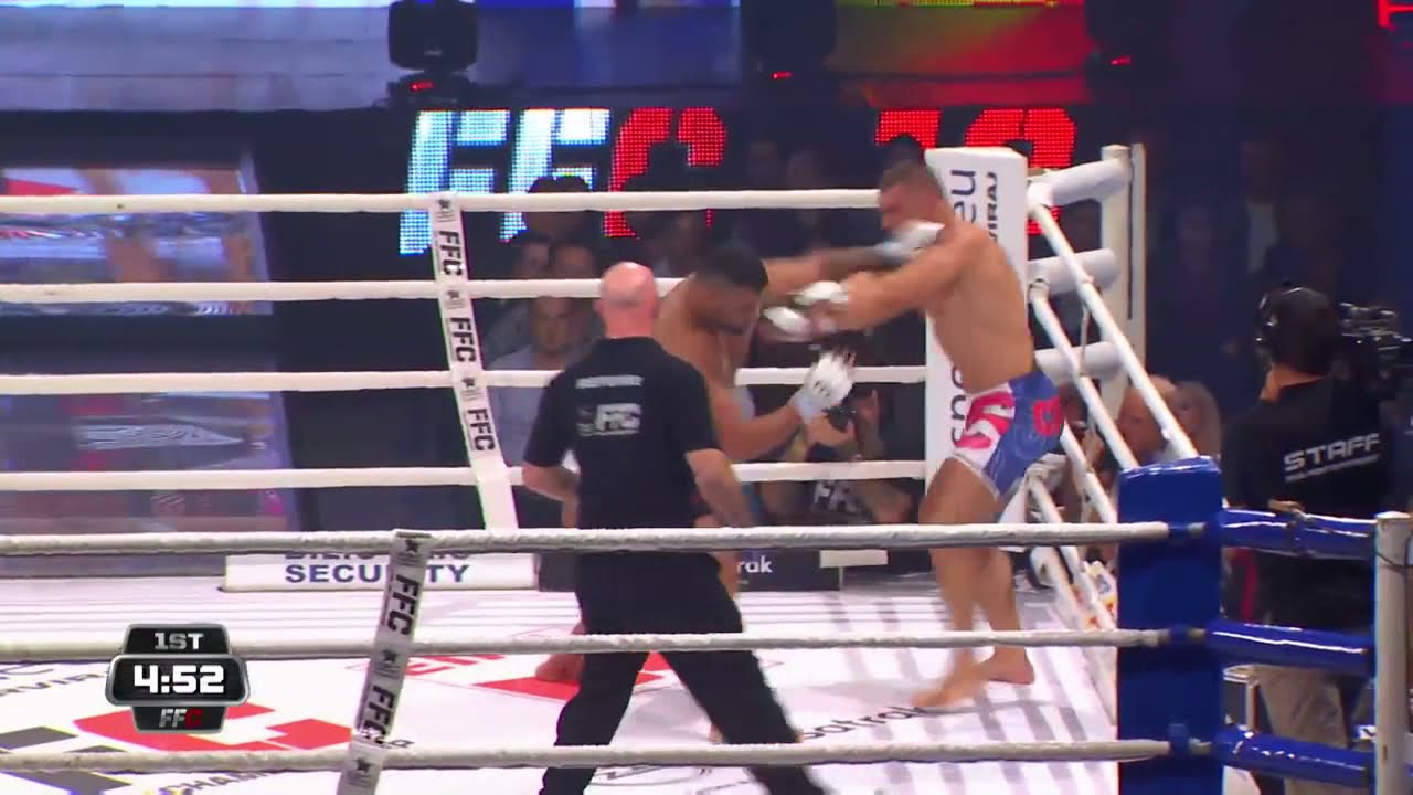 Darko Stosic vs Hatef Moeil | FFC 19 | Linz 18 Sept 2015 | HD