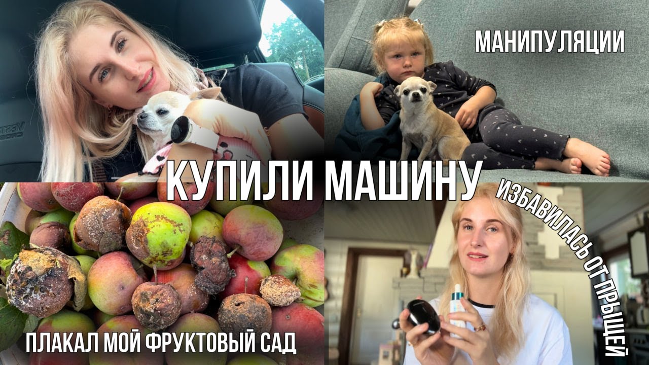 КУПИЛИ МАШИНУ🥳 Манипуляции 😏 МОНИЛИОЗ 🫣 плоды гниют на ветке 🍏 ЛЕЧУ КОЖУ Микротоки Dykemann