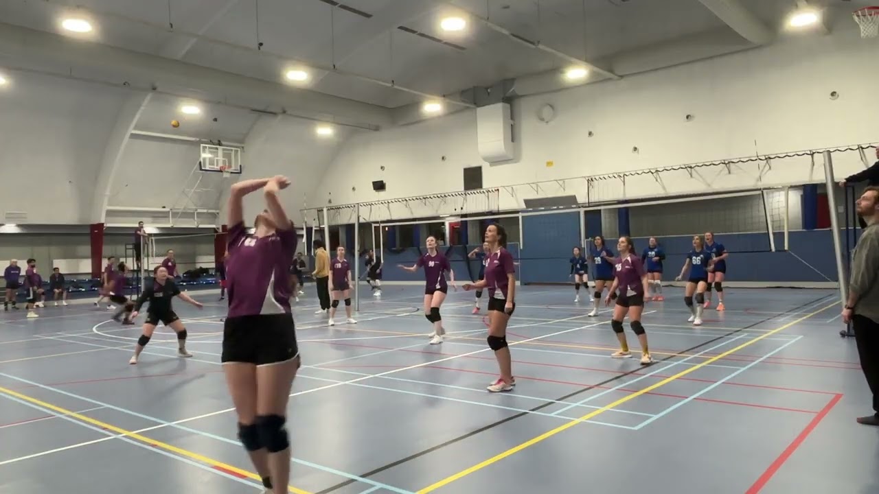 Xenon D1 vs KVA D5 3/5