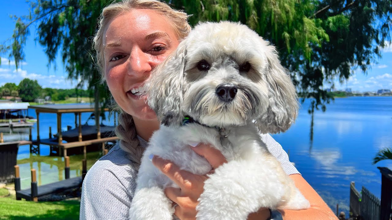 MEET OUR NEW FRIEND SKIP! - Super Cooper Sunday 353