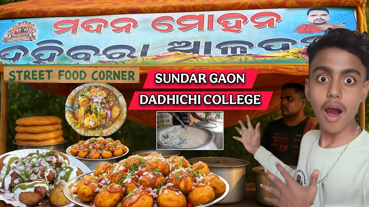 🔥Sundar Gaon Dadhichi College Ka Famous Dahi Vada Aloodum | Osm Test 😋 | Street Food Vlog