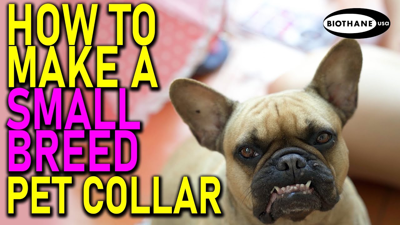 How To Make a Tiny Biothane Dog Collar