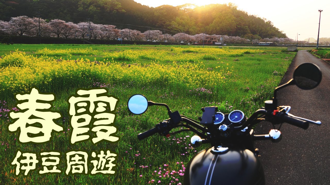 春の伊豆を一周ツーリング[W800 Street]