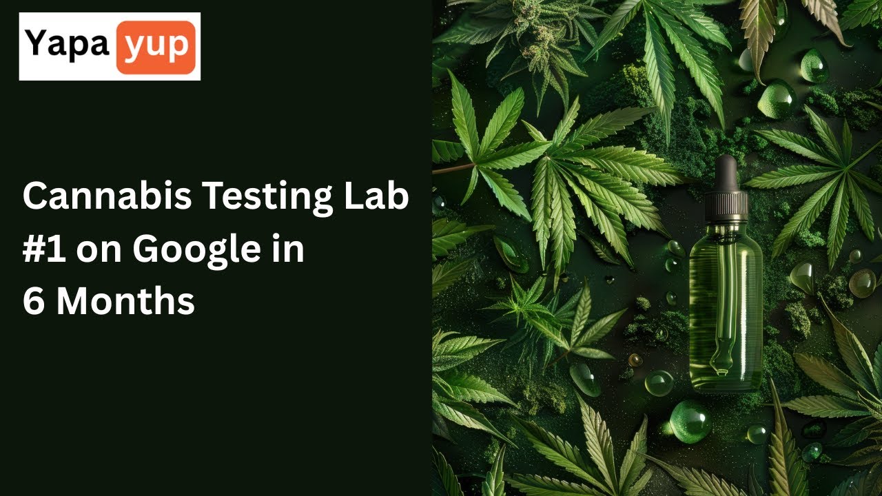 How We Ranked a Cannabis Testing Lab #1 on Google in 6 Months! | YapaYup SEO Agency