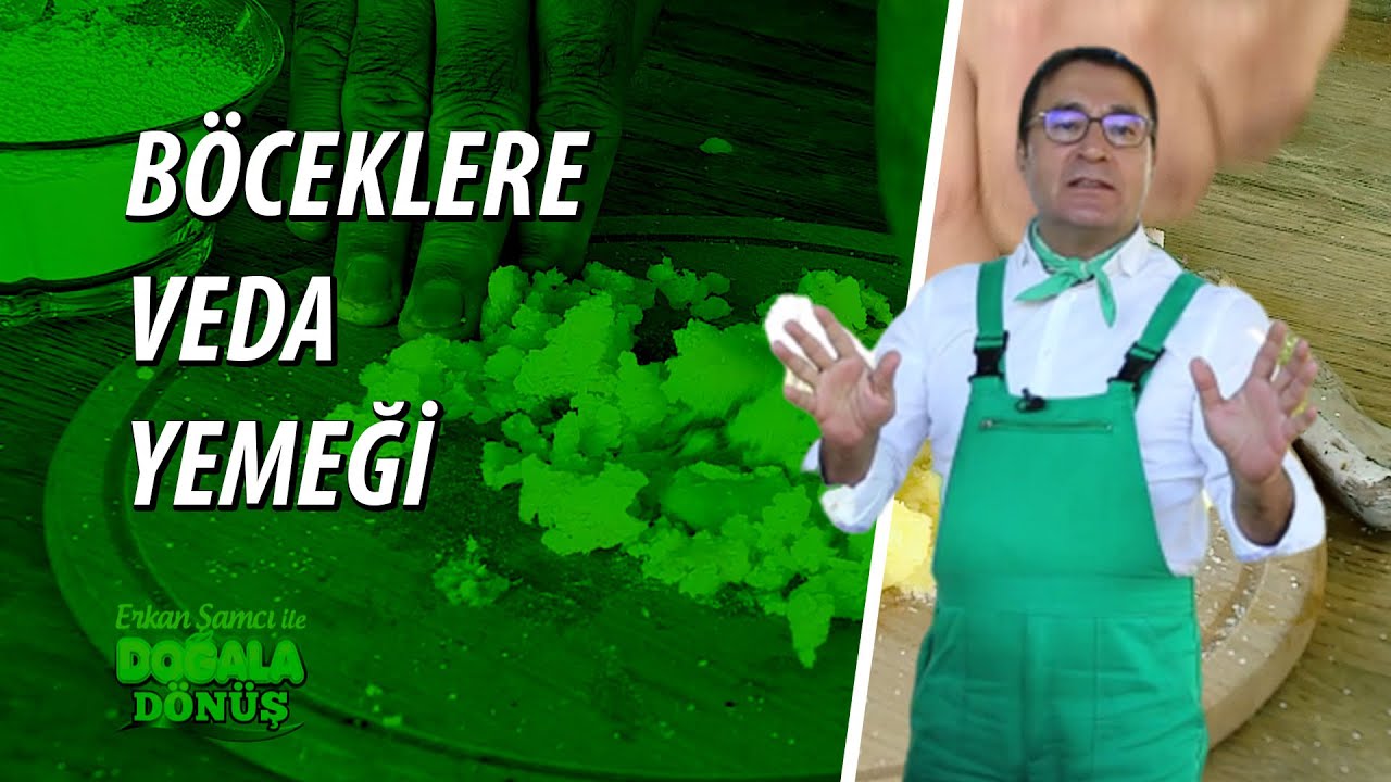 Böcekleri Doğal Yöntemlerle Evinizden Uzaklaştırabilirsiniz: Böceklere Veda Yemeği