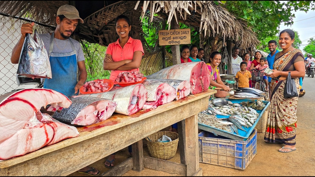 Wow! Sri Lanka Fish Market Understanding The Informal Credits Of Local Fish Mongers