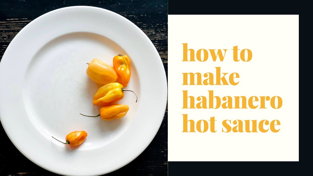 How To Make Habanero Carrot Hot Sauce!