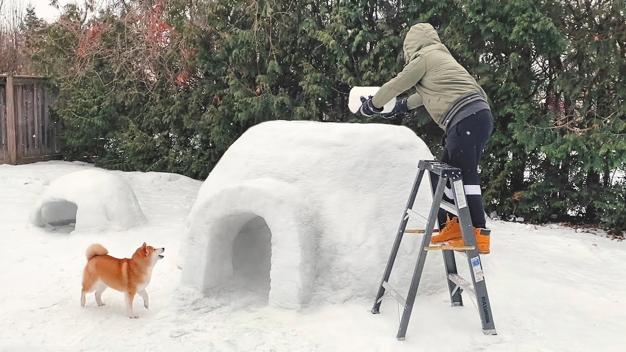 主人花了一週時間，終於給狗狗造了一個巨型冰屋！