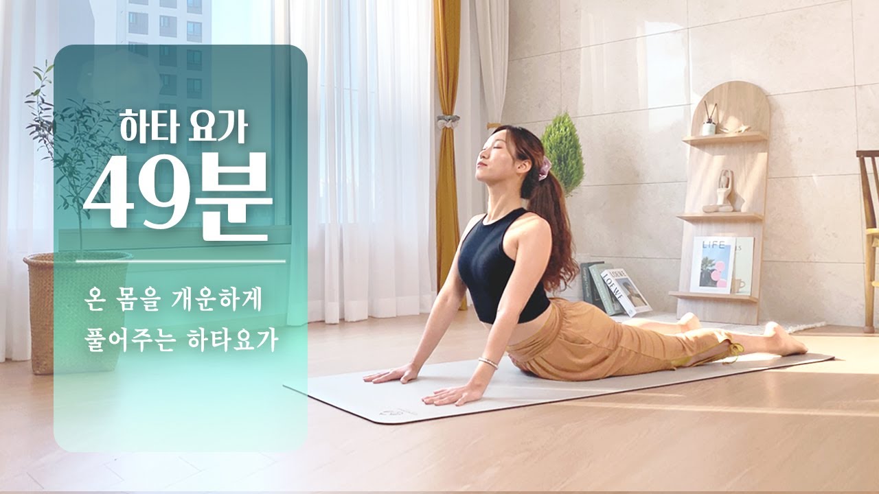 요가로운 시간 50분 하타요가