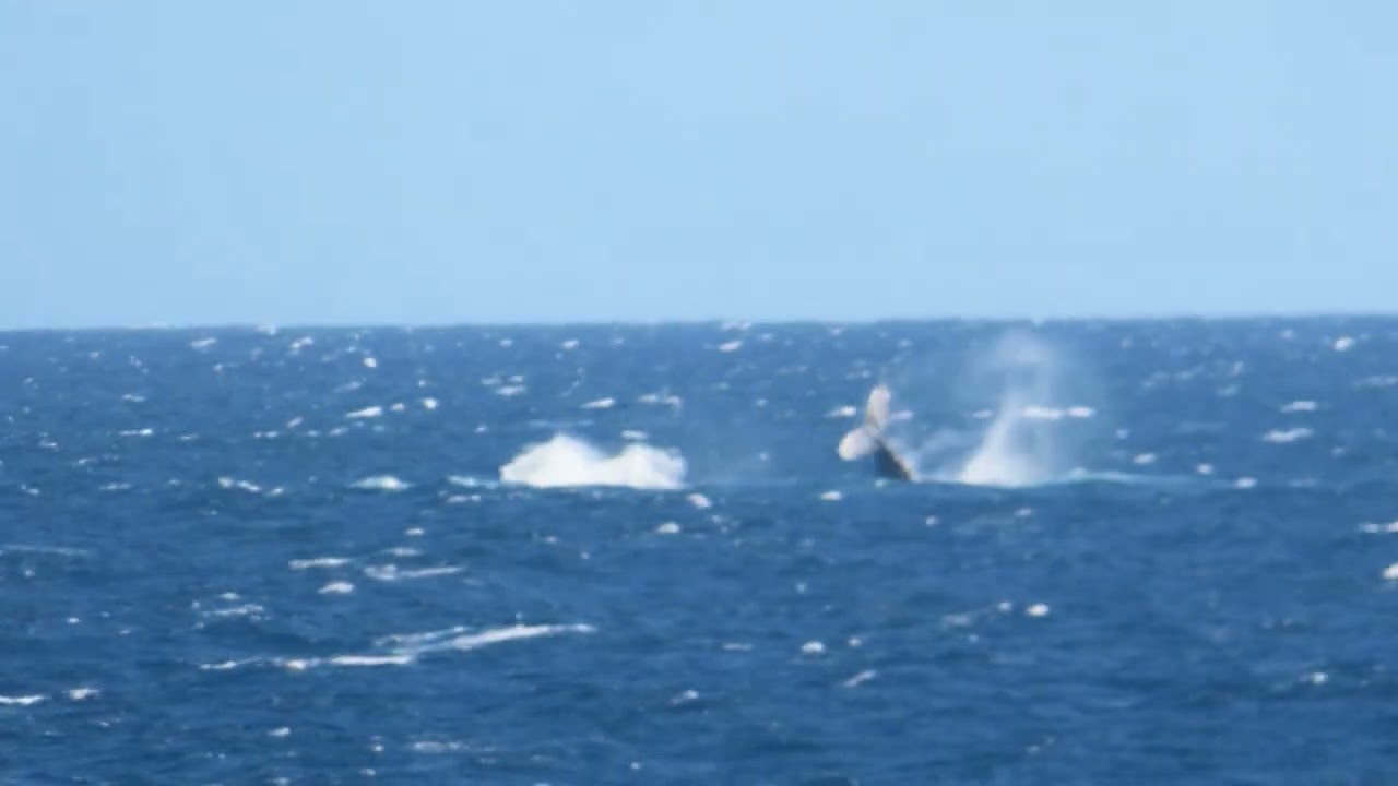 Ile de la Réunion,Terre sainte ,part 7