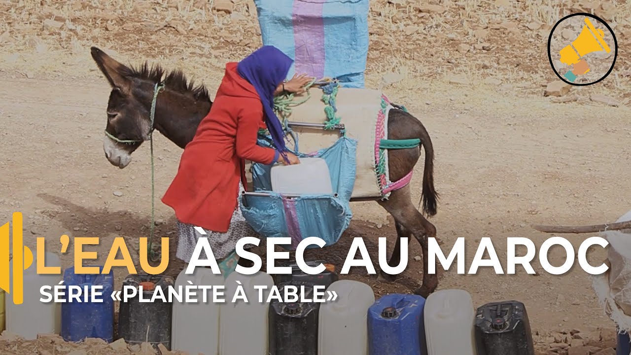 Pénurie d'eau au Maroc / Épisode 1 
