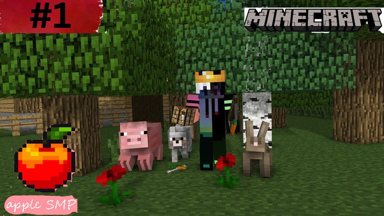 Apple Smp Season 1|| Episode 1|| Minecraft pe|| @Bye-e6u