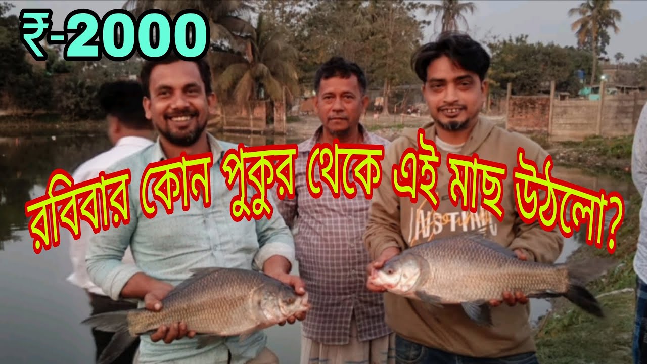 Only fish 🐠🐟 hook fishing 🎣 viral #like// share// comment// subscribe 