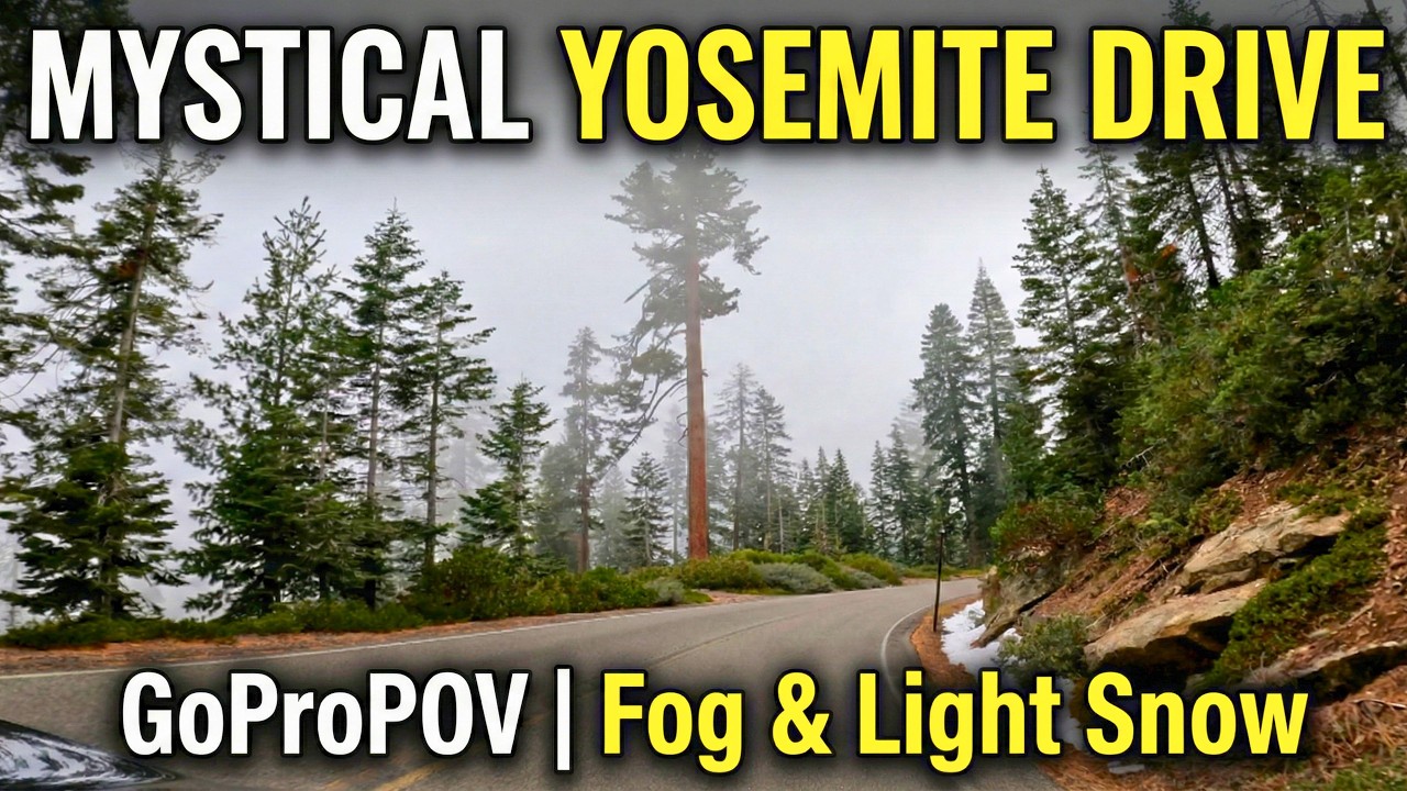 Moody Winter Drive in Yosemite Fog & Snow  GoPro POV