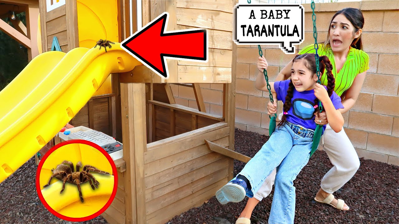 Can’t Believe We Found Another TARANTULA in Our New House! *SHOCKING* | Jancy Family