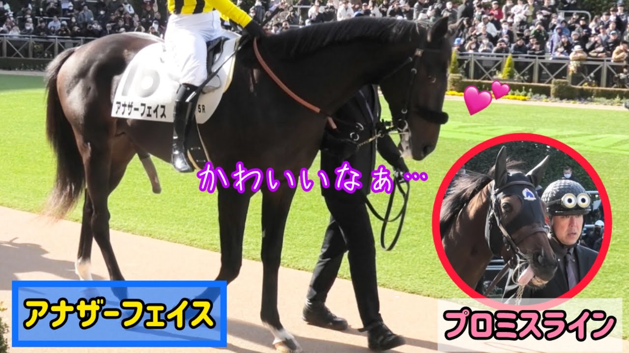前にいるプロミスラインちゃんが可愛くてもうひとつの顔がにょっきり！アナザーフェイス