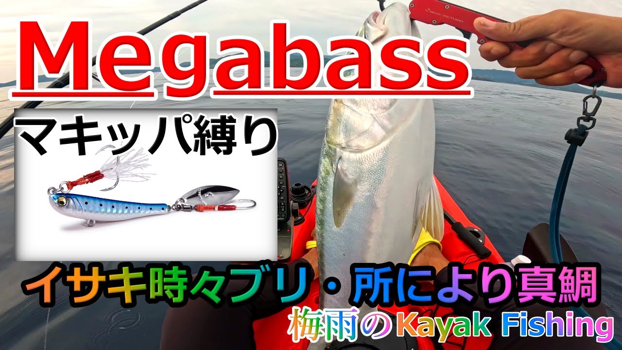 Megabassマキッパ縛りで　色々狙ってみたら 竿ブチ曲がりで爆釣だった