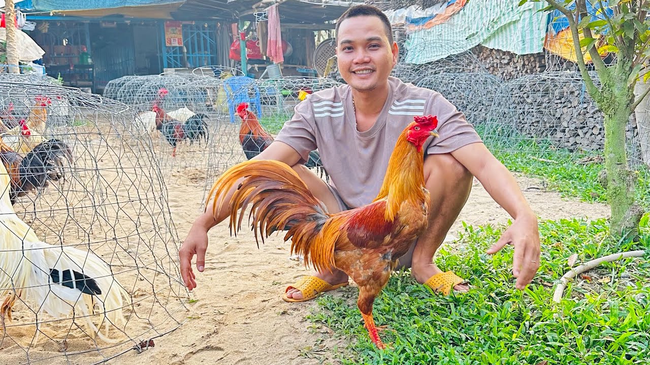 Tốp Những Bé 🐔Mới Phục Vụ Ae Nhảy 💃 Múa 🕺 Ae Xem Clip Vv