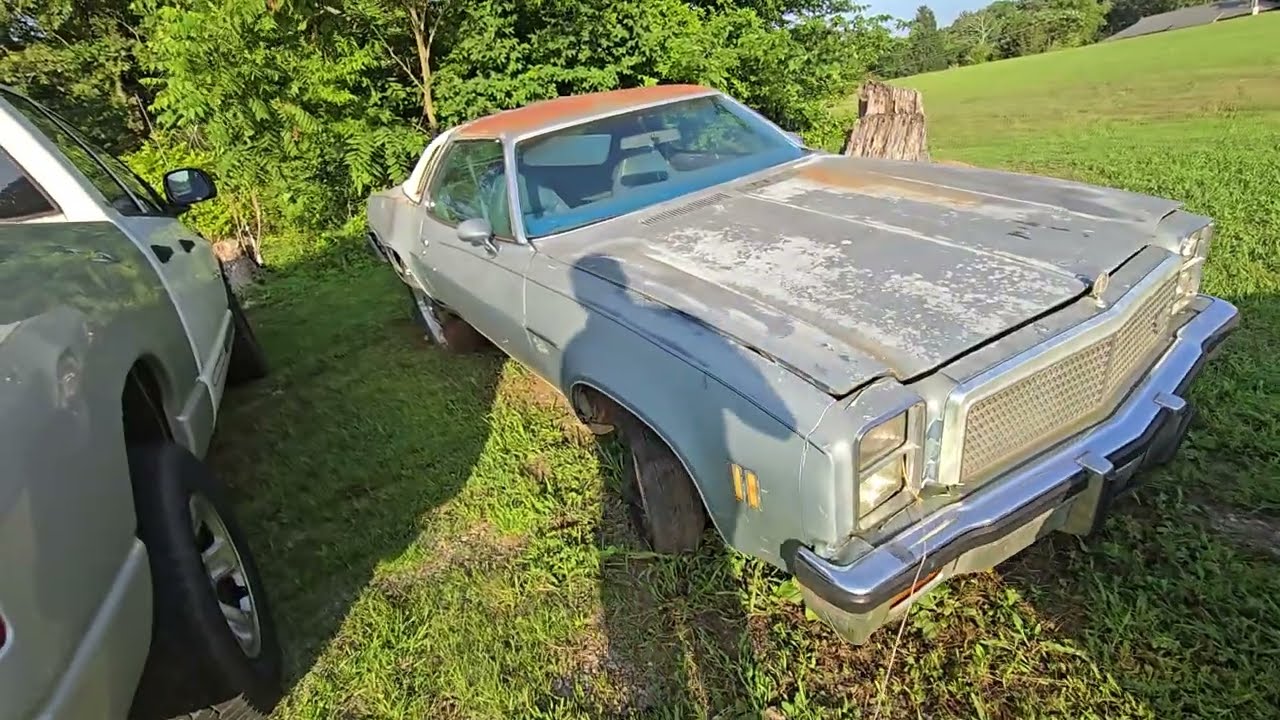 1977 Mailbu Classic! I haven't seen one of these cars in years! It's in good shape and I want it!