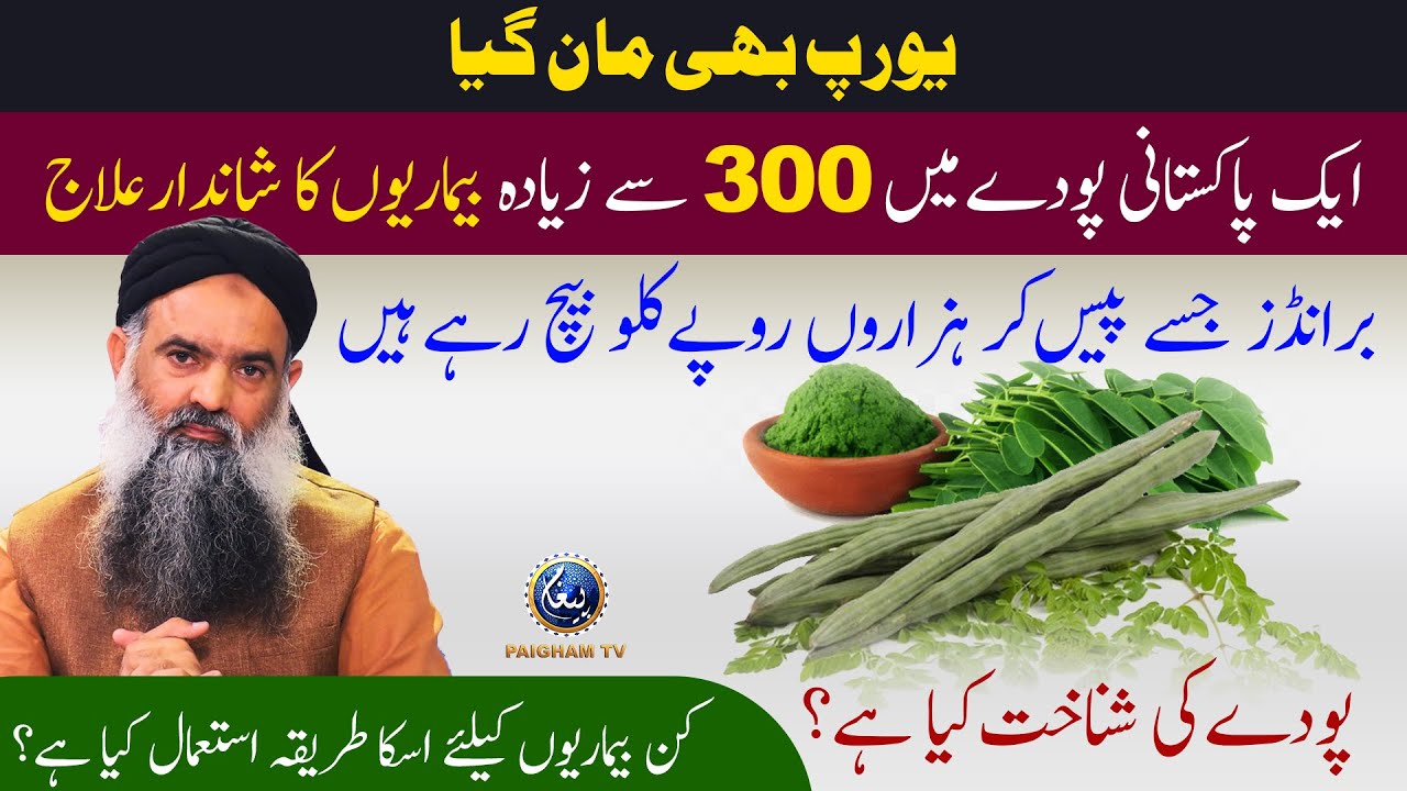Pakistnai Pode Main 300 se zeyada bemarion ka Ilaj | Dr Sharafat Ali | Paigham TV