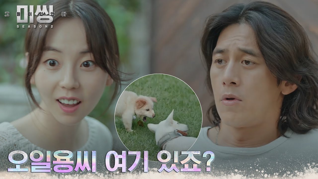 행동하는 안소희, 신난 강아지들의 행동에 의심 폭발! #미씽:그들이있었다2 EP.3 | tvN 221226 방송