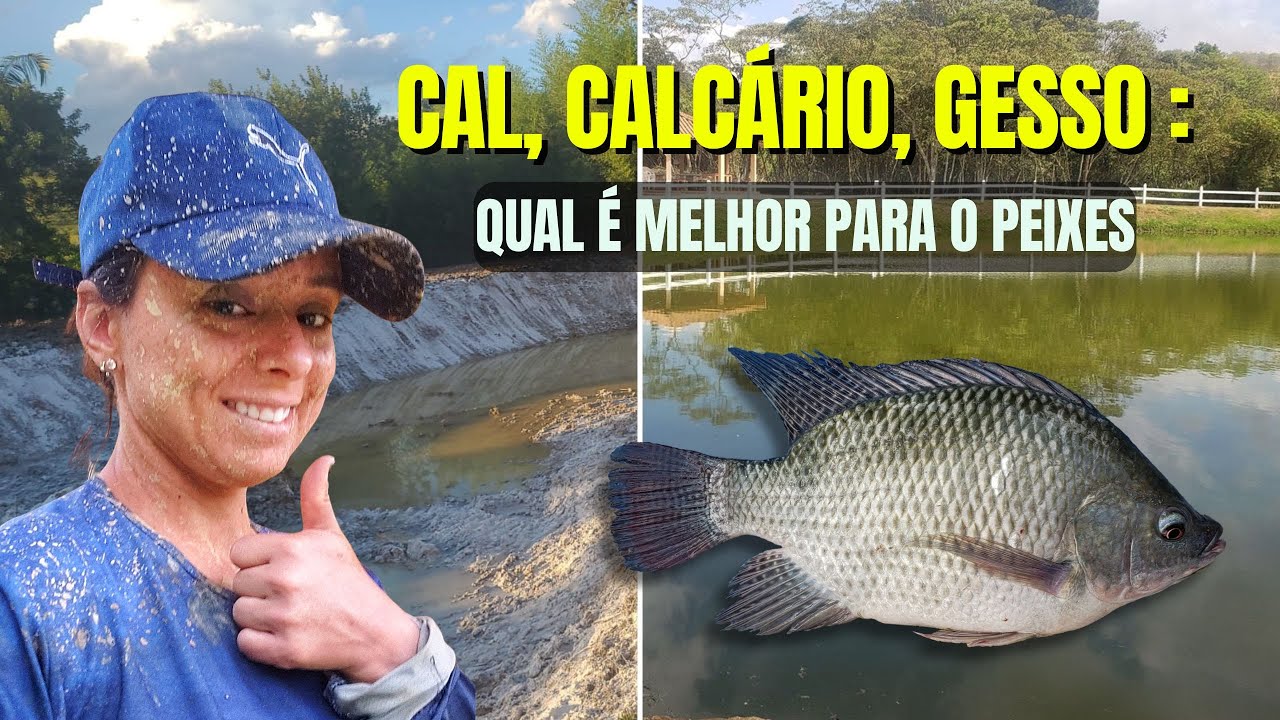 CAL, CALCÁRIO E GESSO NA PISCICULTURA. QUAL É O MELHOR PARA OS PEIXES?