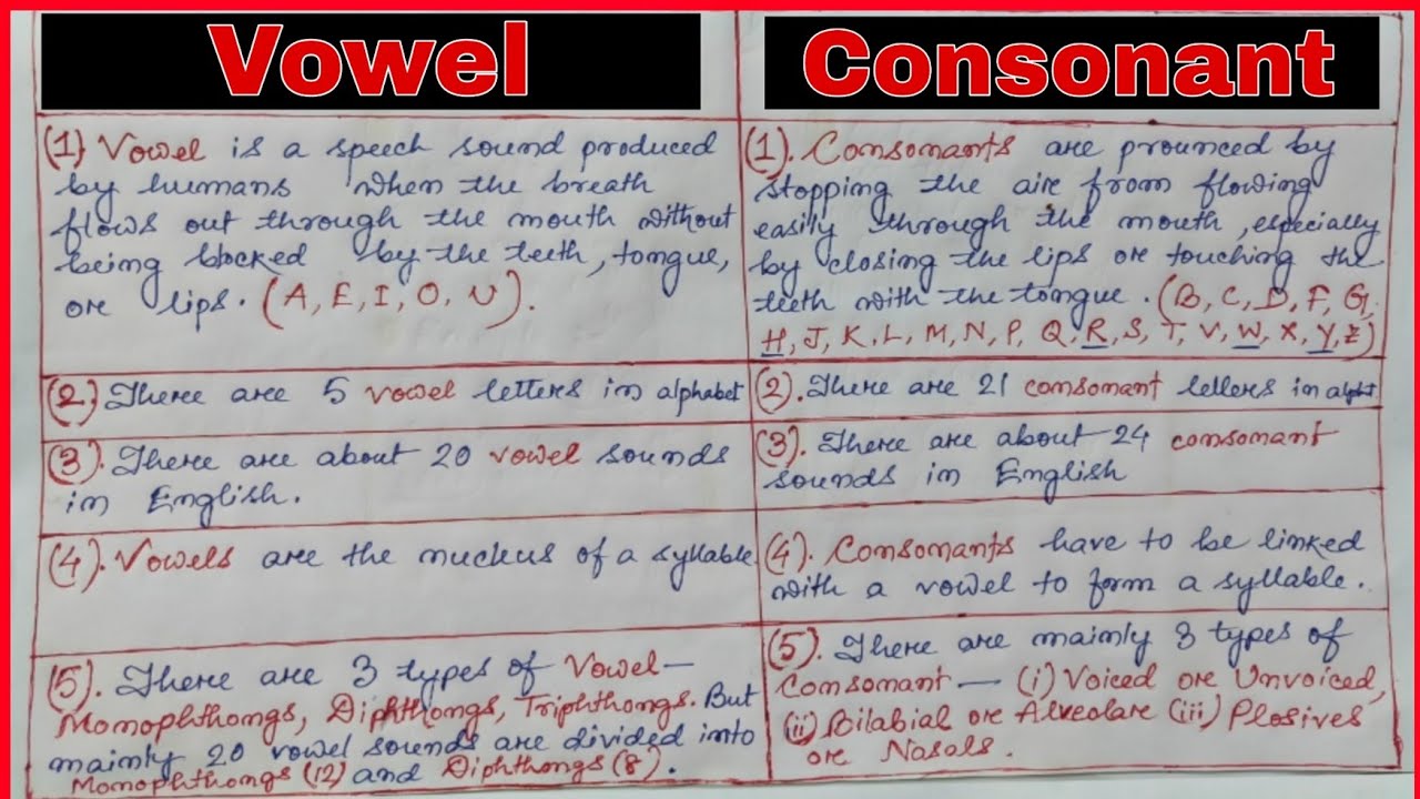 Difference Between VOWEL & CONSONANT 📚Full Concept 📖 Explained in HINDI📘MEG 04📑 Aspects Of Language📕