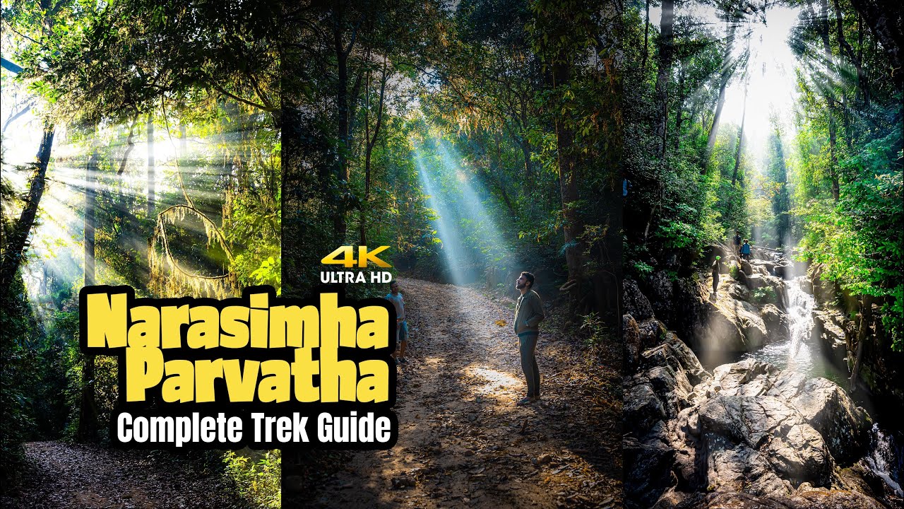 Narasimha Parvatha Trek | Agumbe Rainforest Trek | Complete Guide