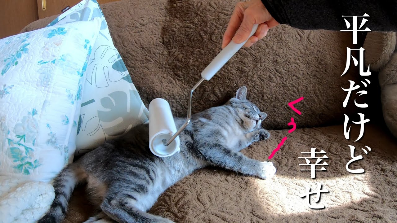 はなちゃんとばーばの、平凡だけど幸せな日常