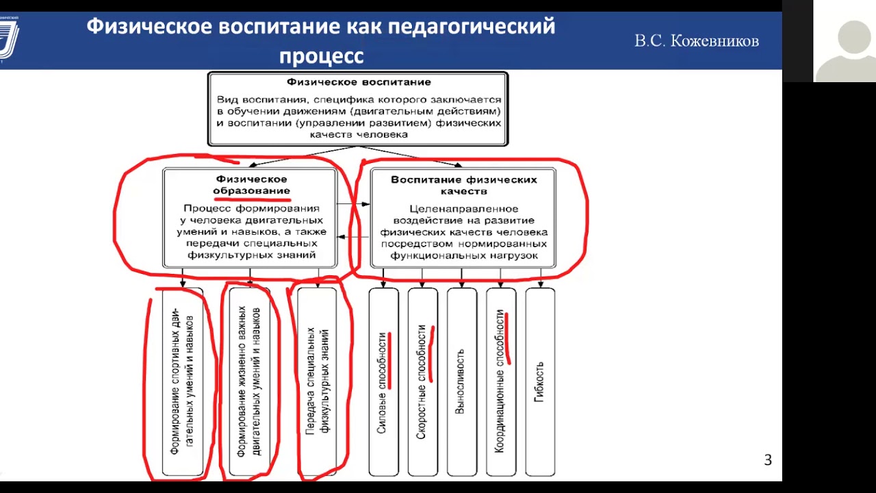 ЛЕКЦИЯ 1. ОБЩАЯ ХАРАКТЕРИСТИКА ТЕОРИИ И МЕТОДИКИ ФИЗИЧЕСКОГО ВОСПИТАНИЯ