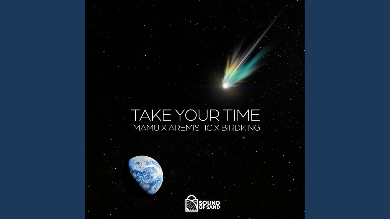 Take Your Time (feat. Aremistic & Birdking)