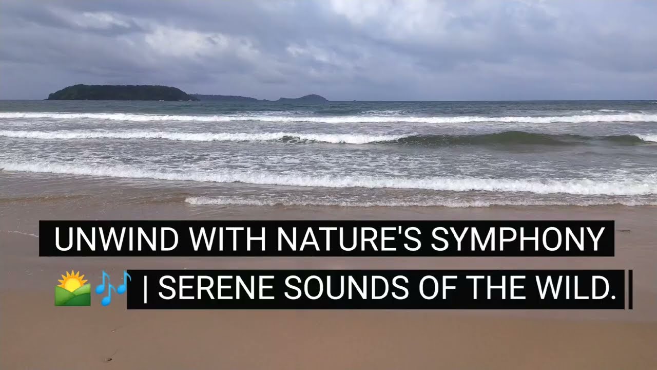 Tranquil Harmony: Nature's Melodies Music to Soothe the Soul #peace #sea #nature