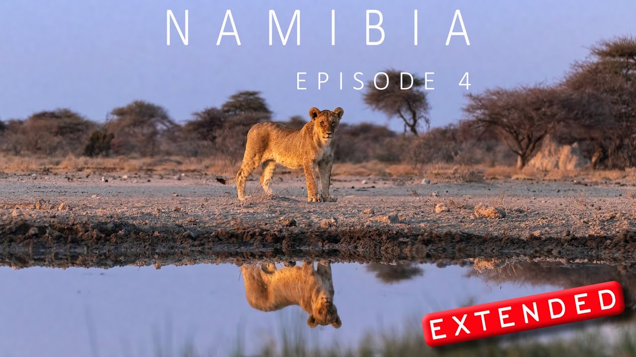 NAMIBIA 2022 | EXTENDED EDITION | EPISODE 4 | ONGUMA - ETOSHA - MOUNT ETJO