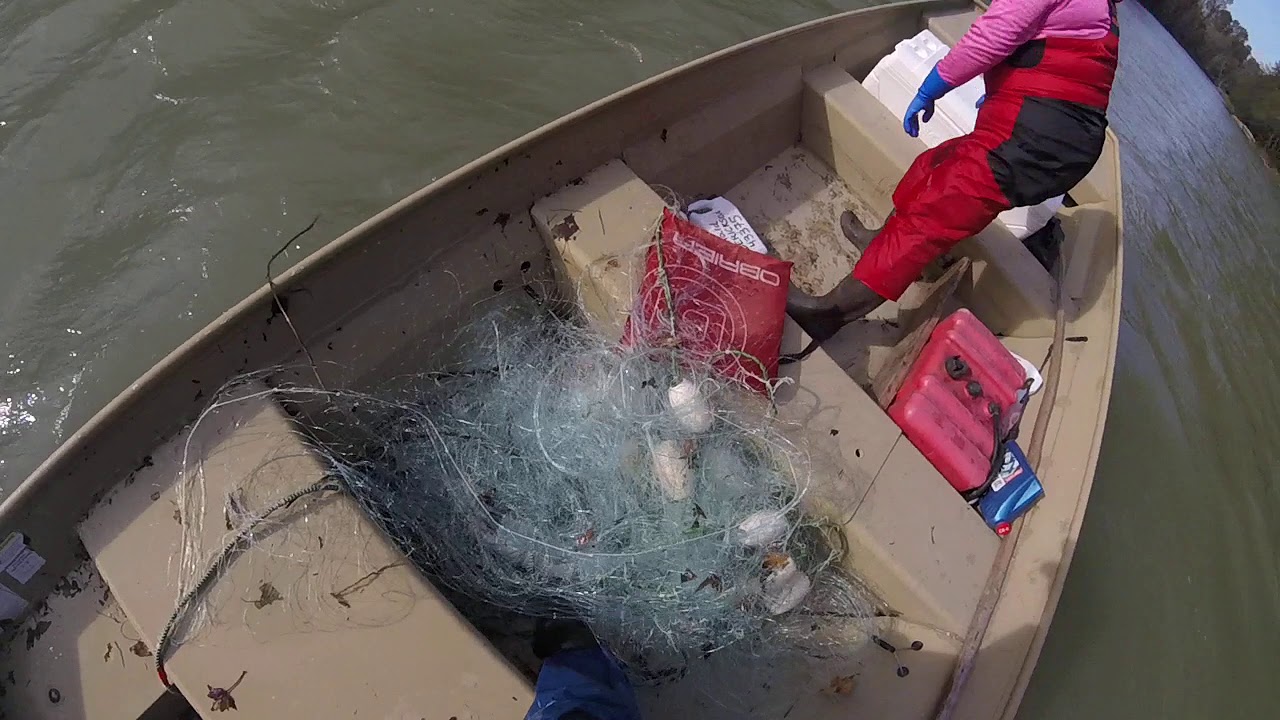 nisqually river WA tribal fishing drift net 2020