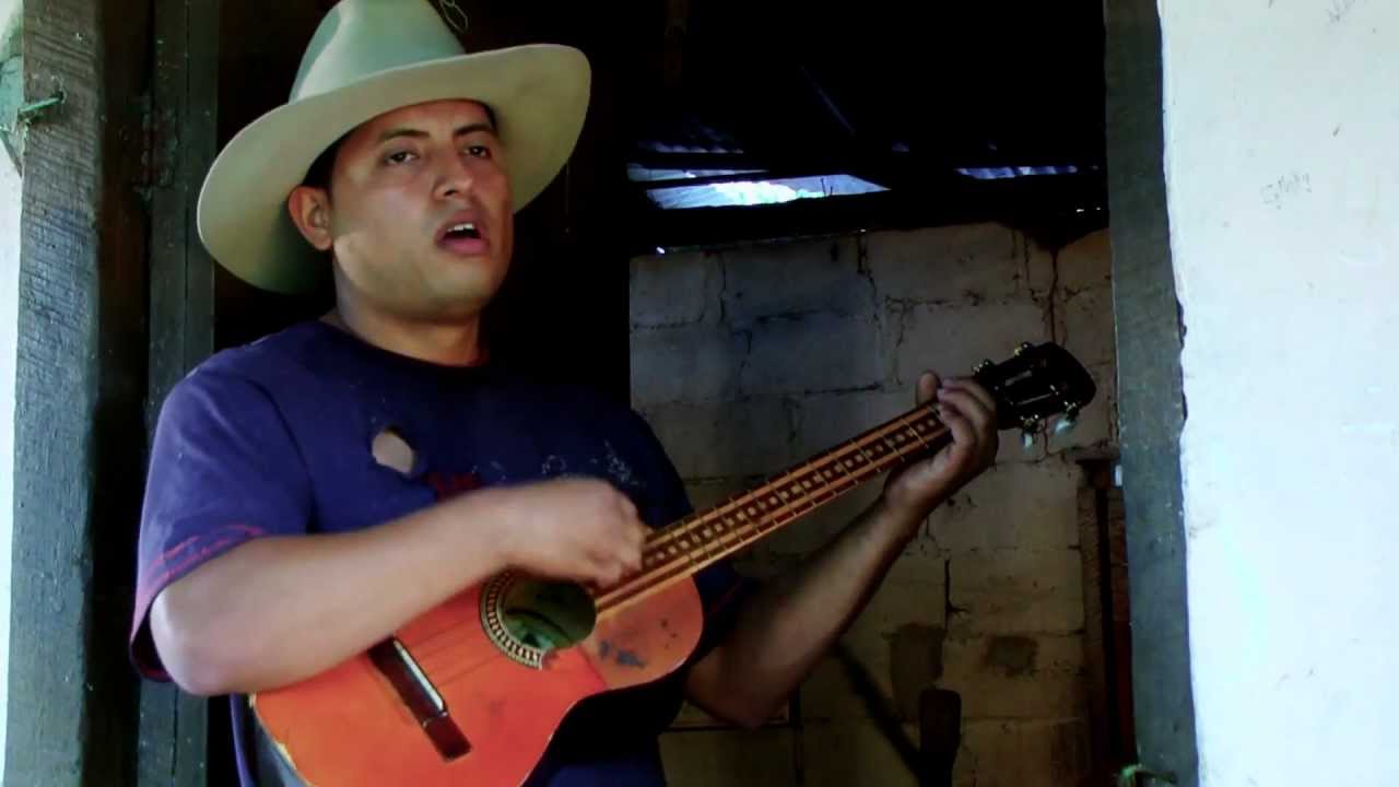 CARLOS NI&Ntilde;O - GUAYABO IMPERTINENTE - SURTEL MEDIA